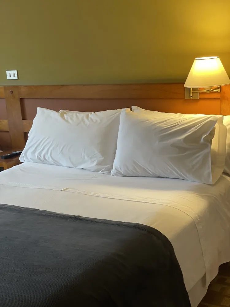 Photo - Hotel Almasur Express Punta Arenas