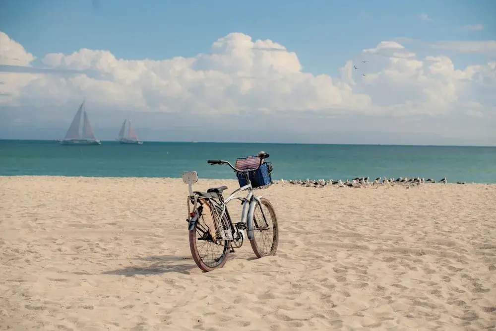 Photo - Renzzi On The Beach