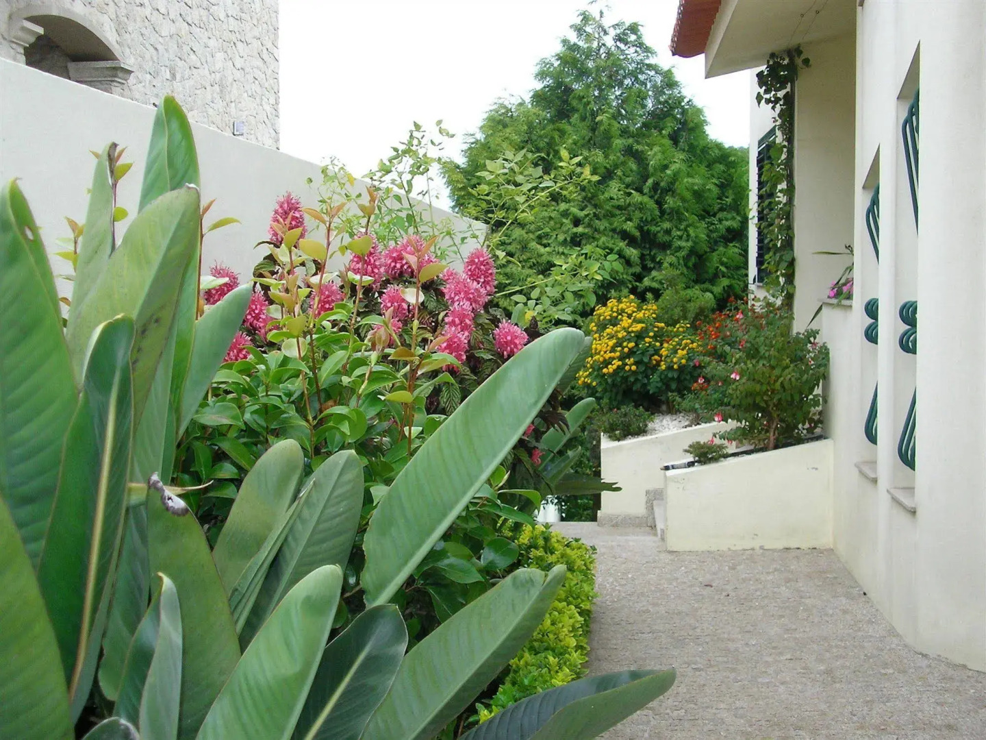 Foto - Villa d'Arcos