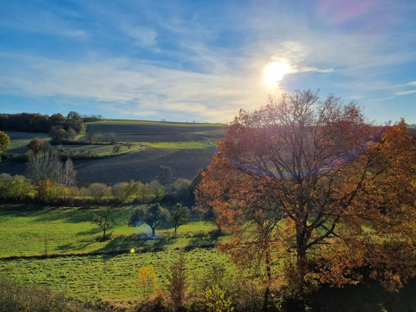 Foto - Zur Morschbach