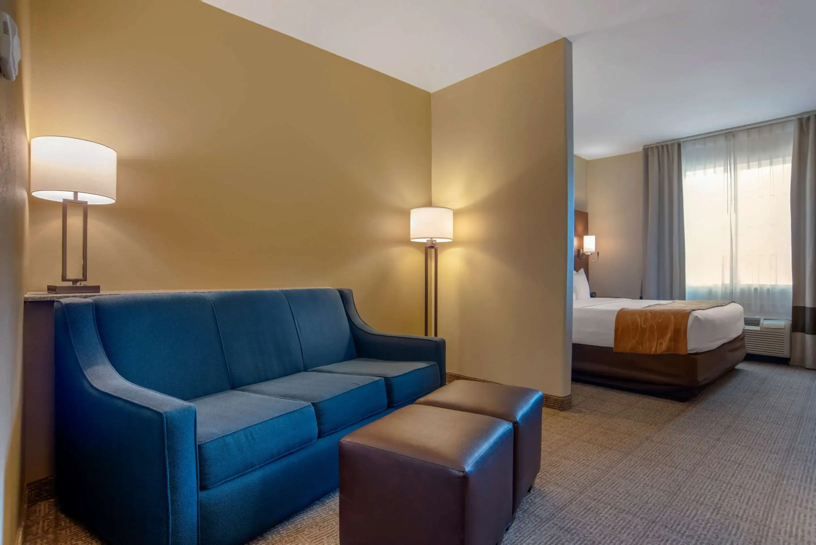 Photo - Comfort Suites Alexandria North