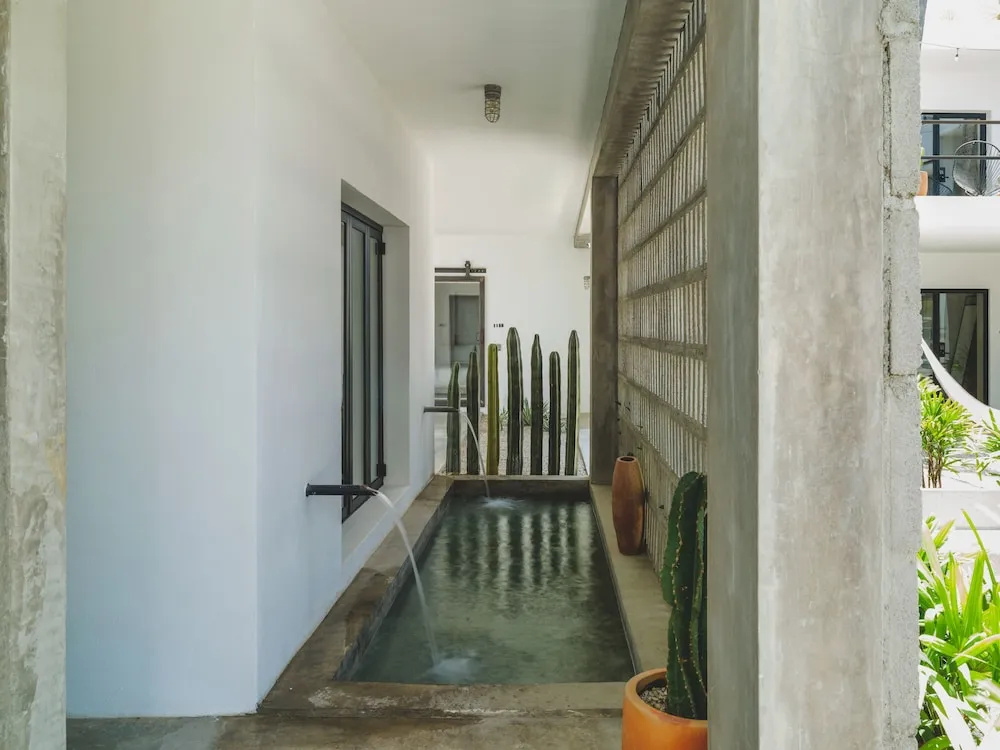 Photo - Drift San Jose del Cabo, a Member of Design Hotels