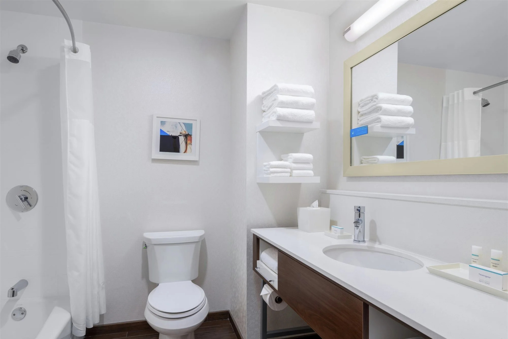 Photo - Hampton Inn Chicago McCormick Place