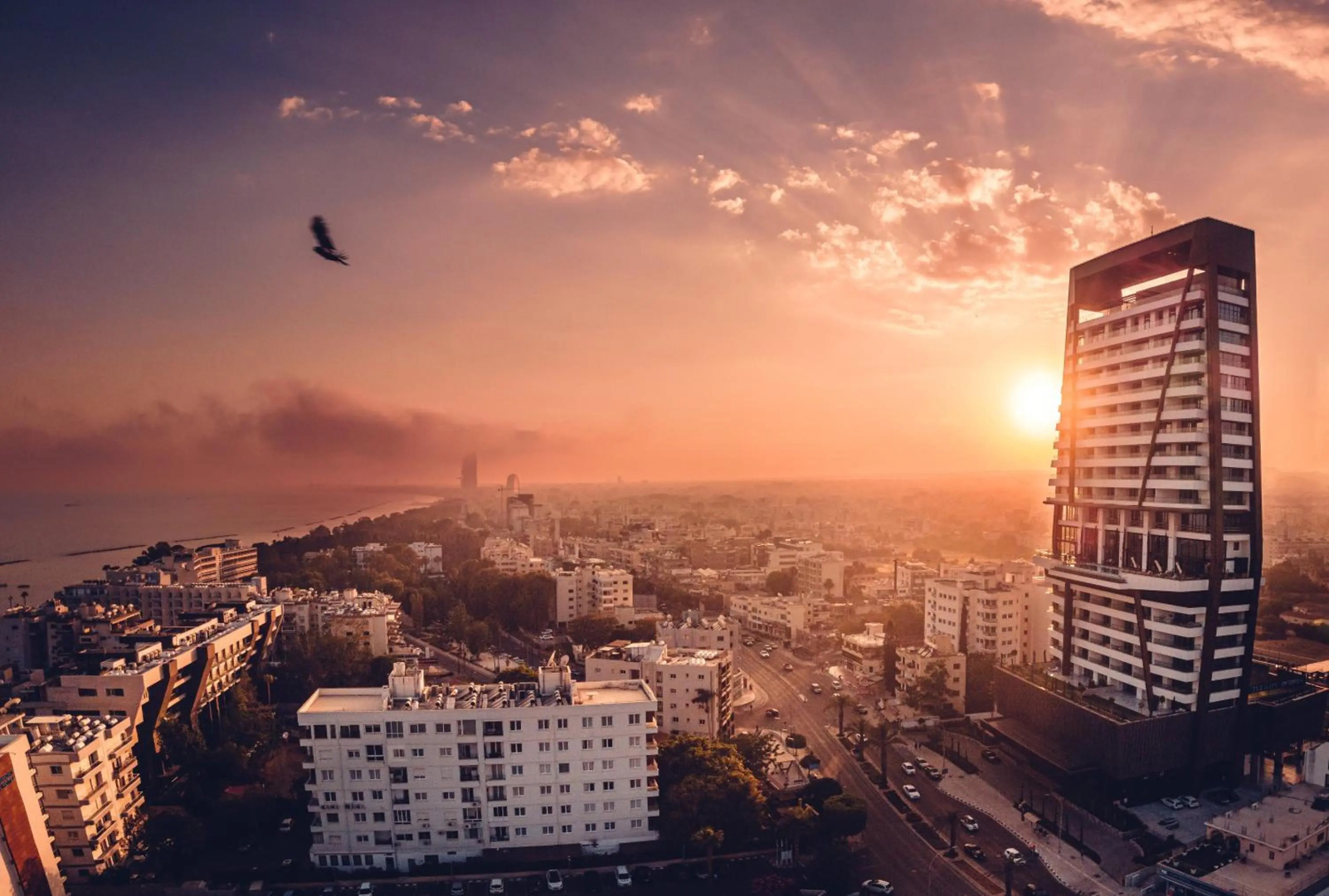 The Icon Limassol, Bild 12 von 23