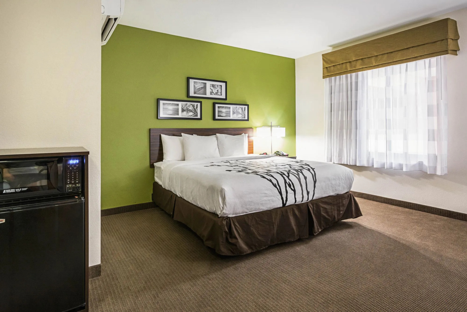Photo - Sleep Inn Dallas Love Field - Medical District