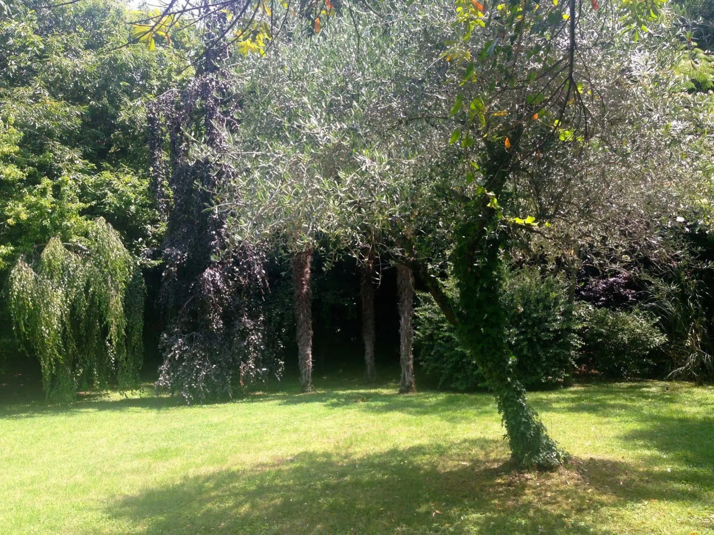 Foto - Villa Abbamer