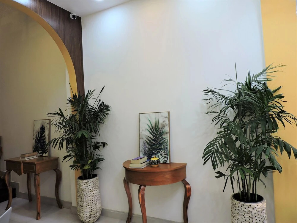 Foto - Chez Mimosa Homestay