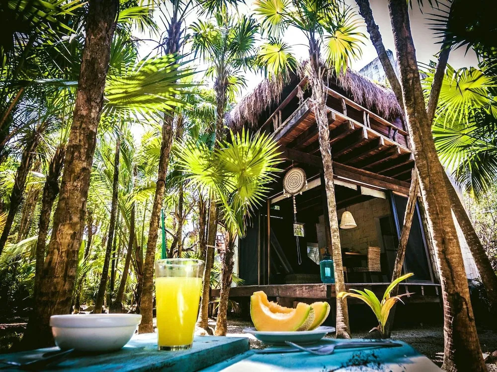Foto - Vida Silvestre Tulum