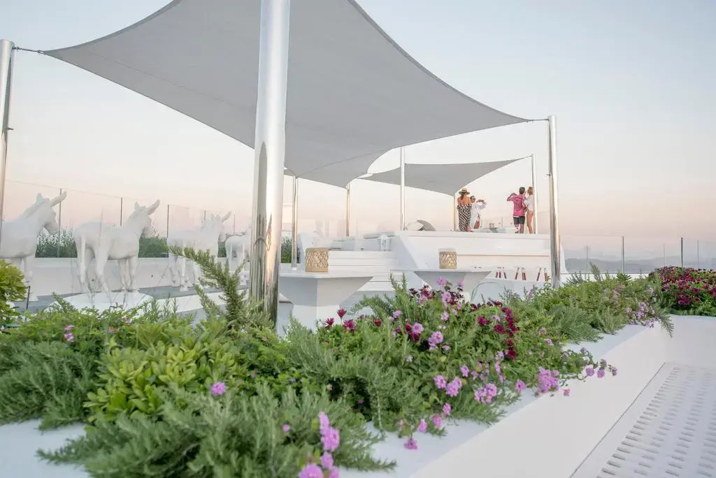 Foto - Canaves Sunday