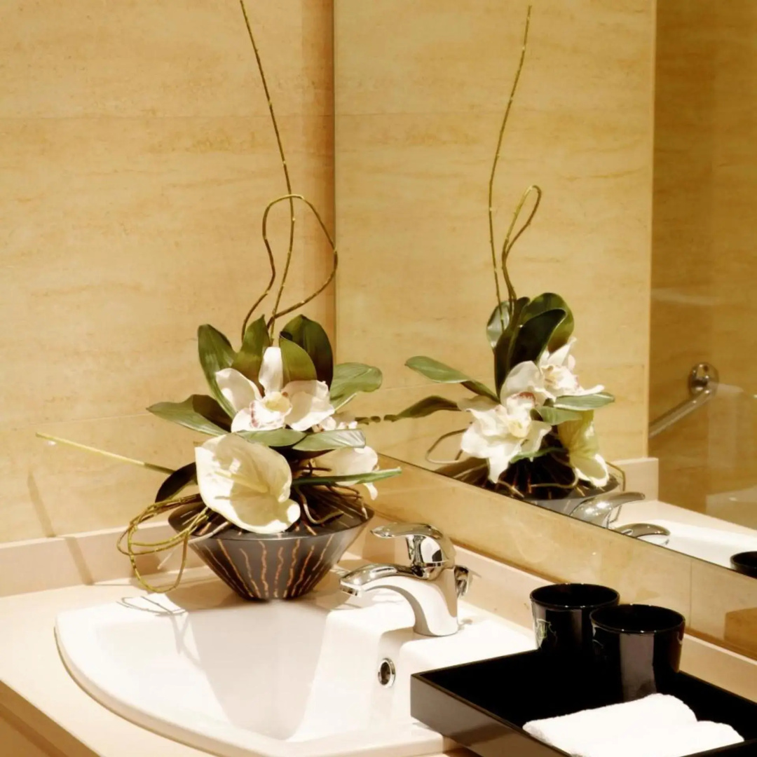 Foto - Hotel Moliceiro