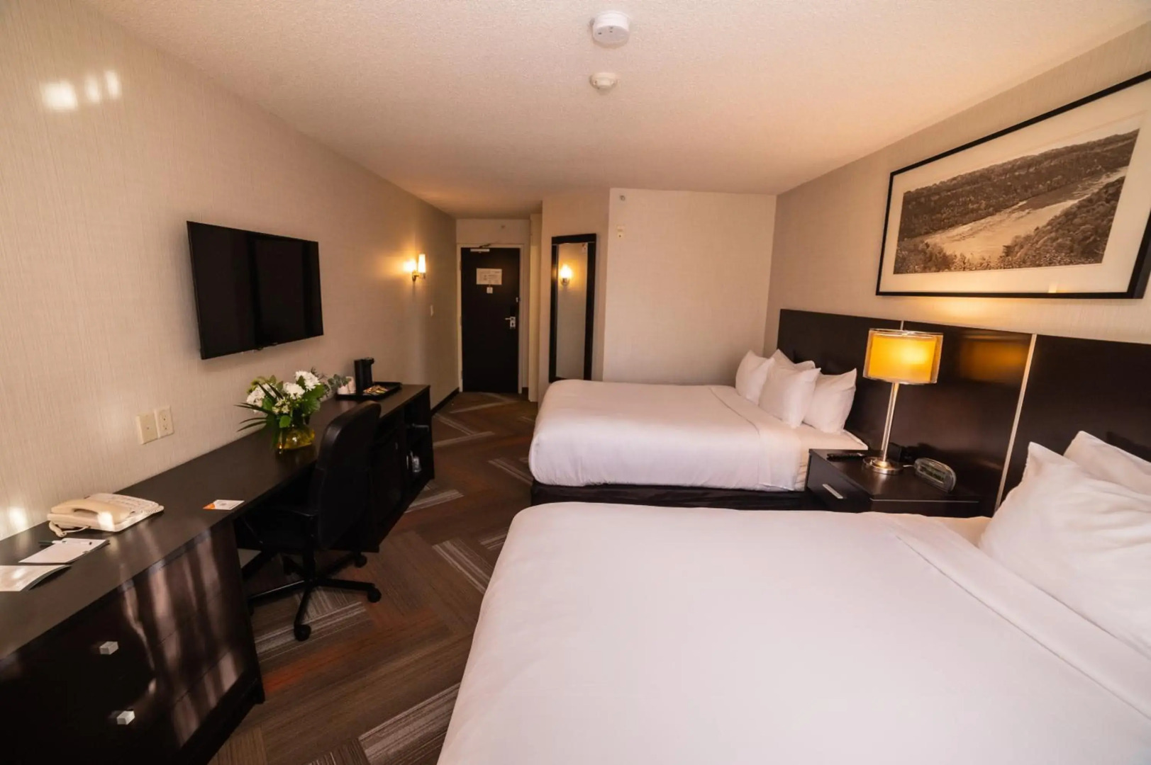 Foto - Quality Hotel