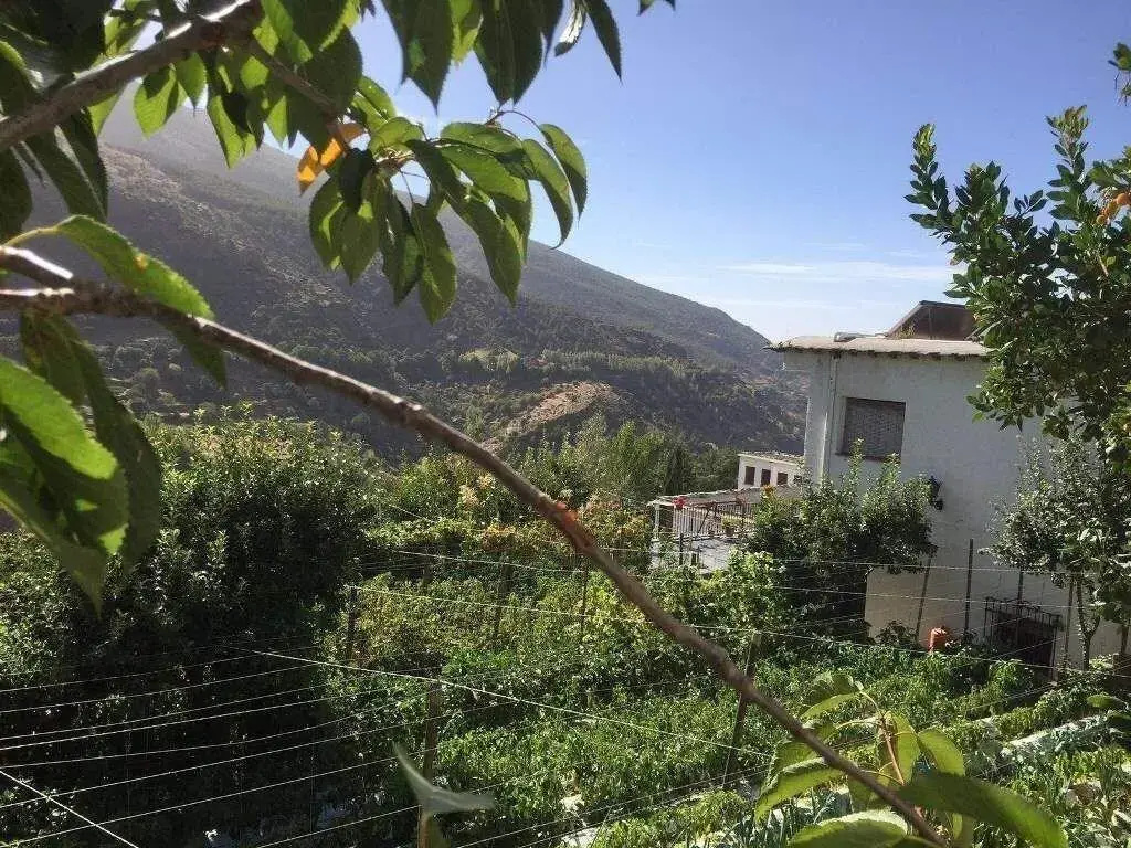 Foto - Hotel La Fragua II