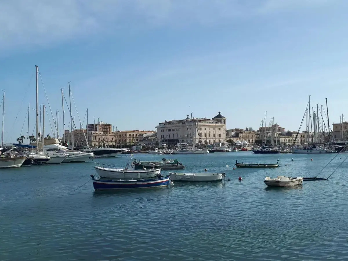 Foto - Lakkios