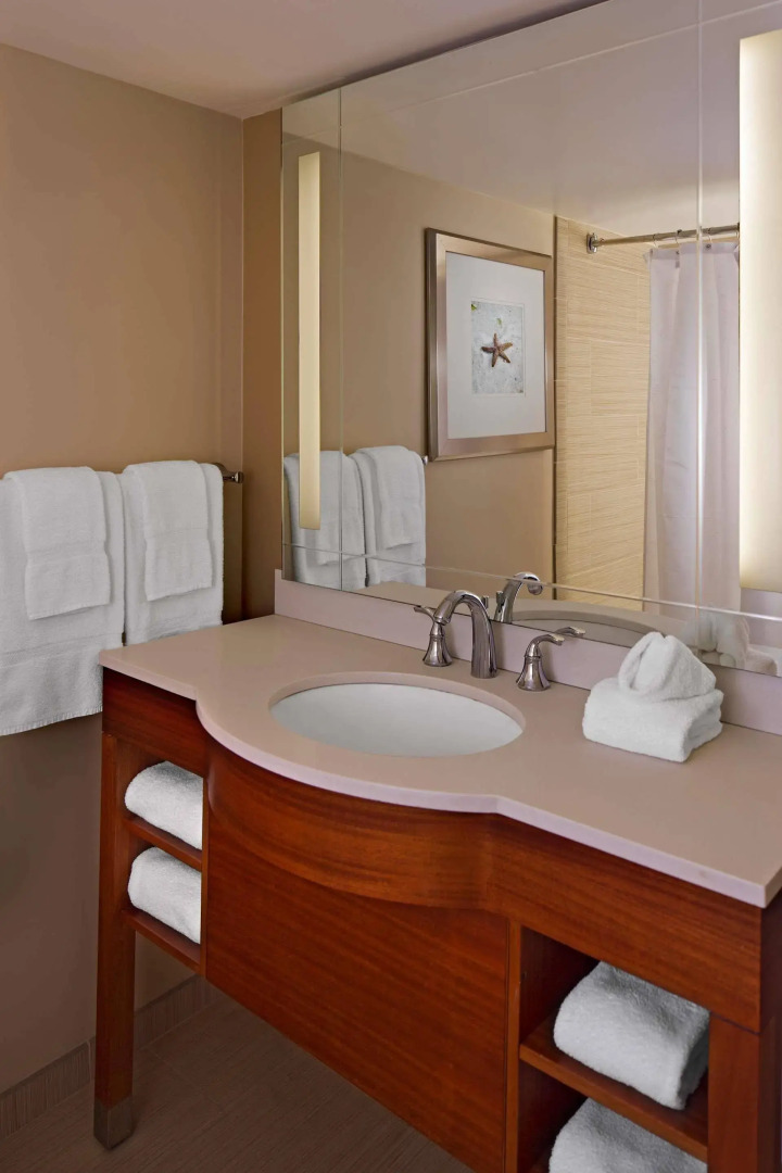 Photo - Four Points by Sheraton Suites Tampa Airport Westshore