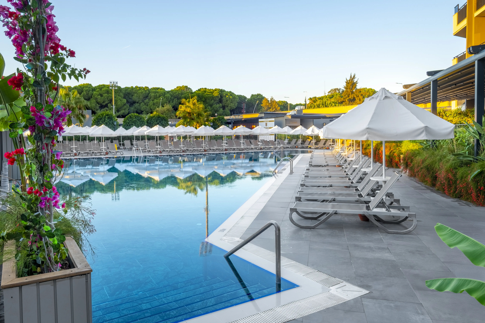 Photo - The X Belek