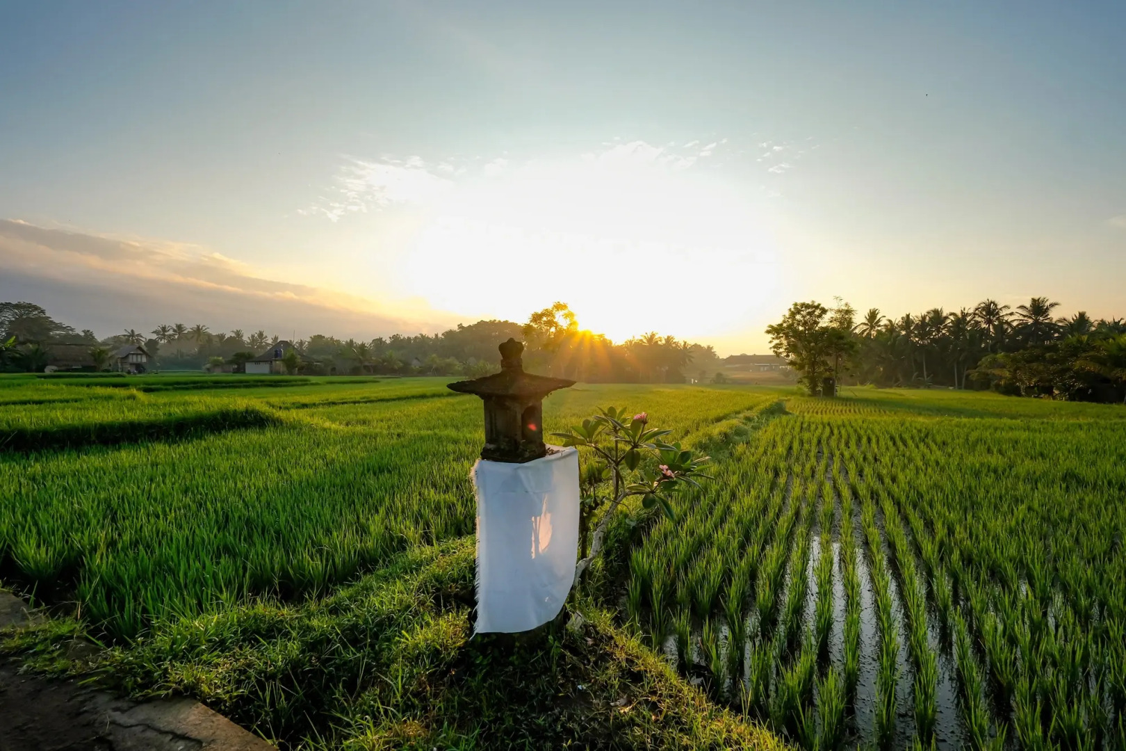 Foto - Ubud Jungle Stay - Mahari by WAHM