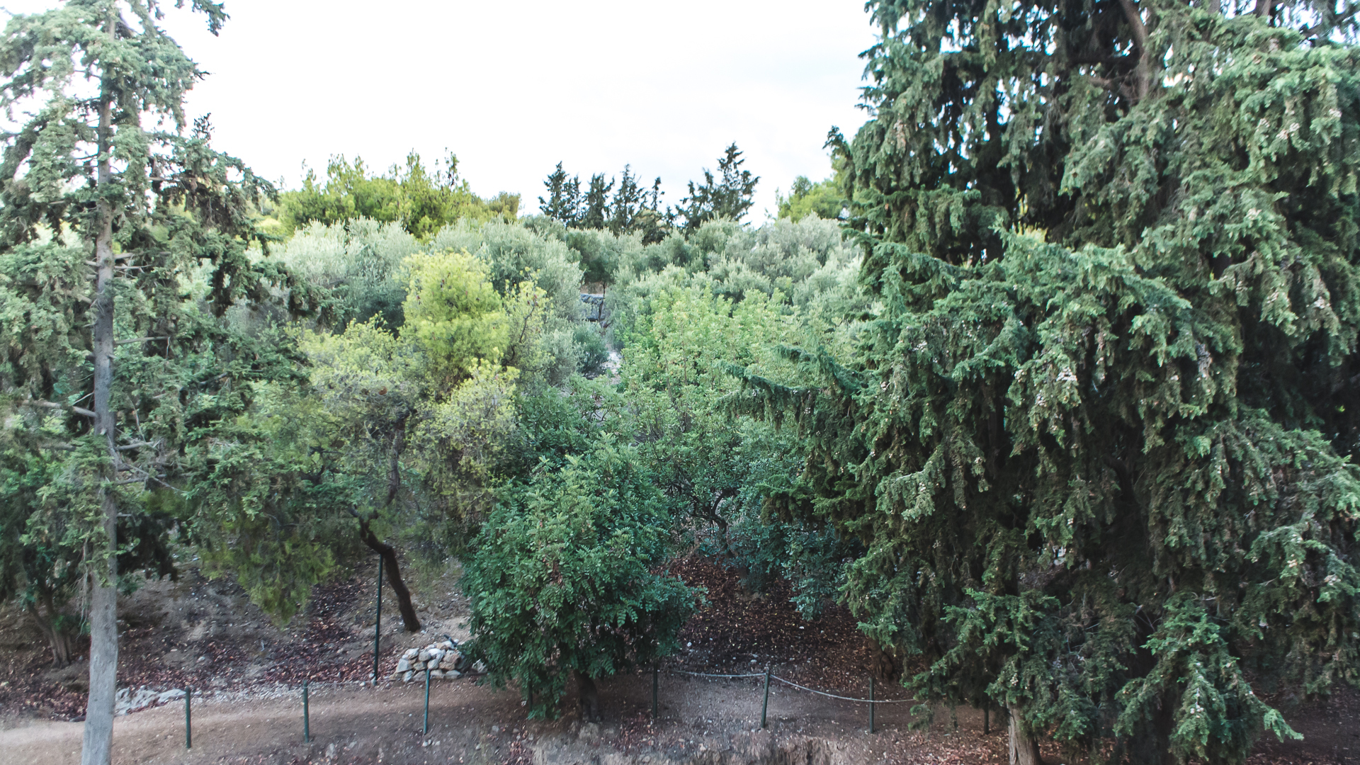 Foto - Acropolis Luxury Apartments