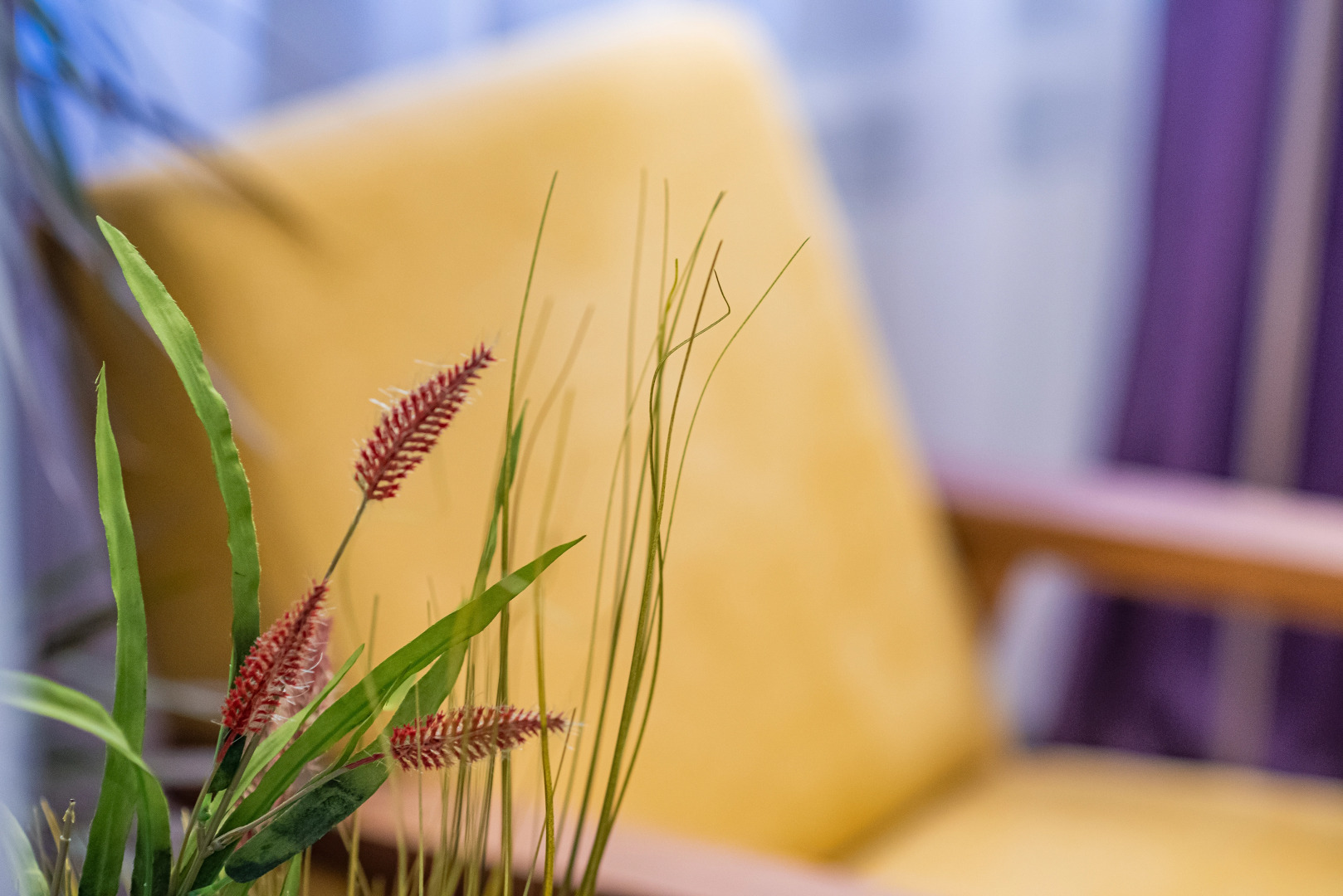 Foto - HB apartments Hill House