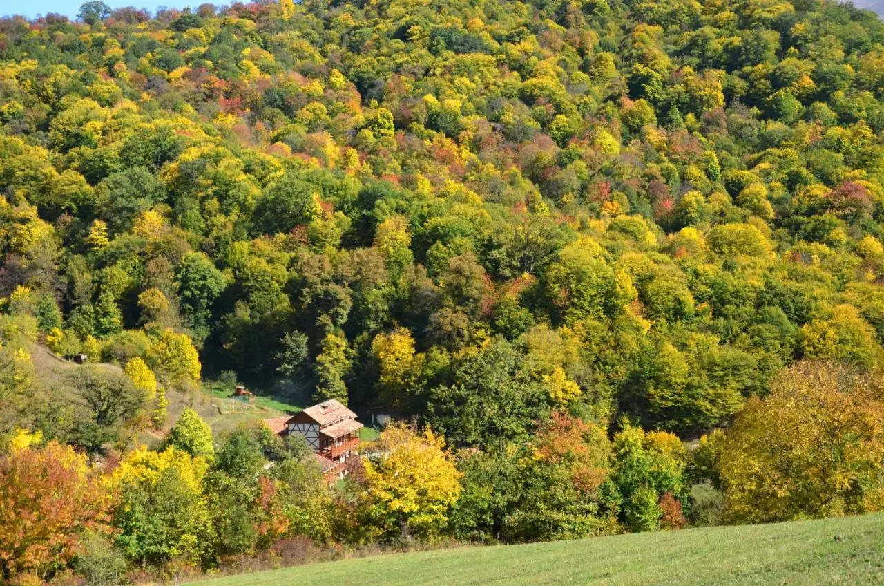 Photo - Ecokayan Dilijan Resort Hotel