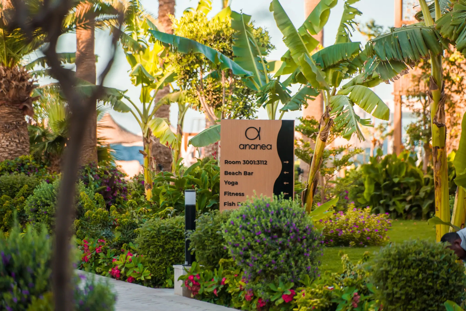 Photo - Jewels Sahara Boutique Resort