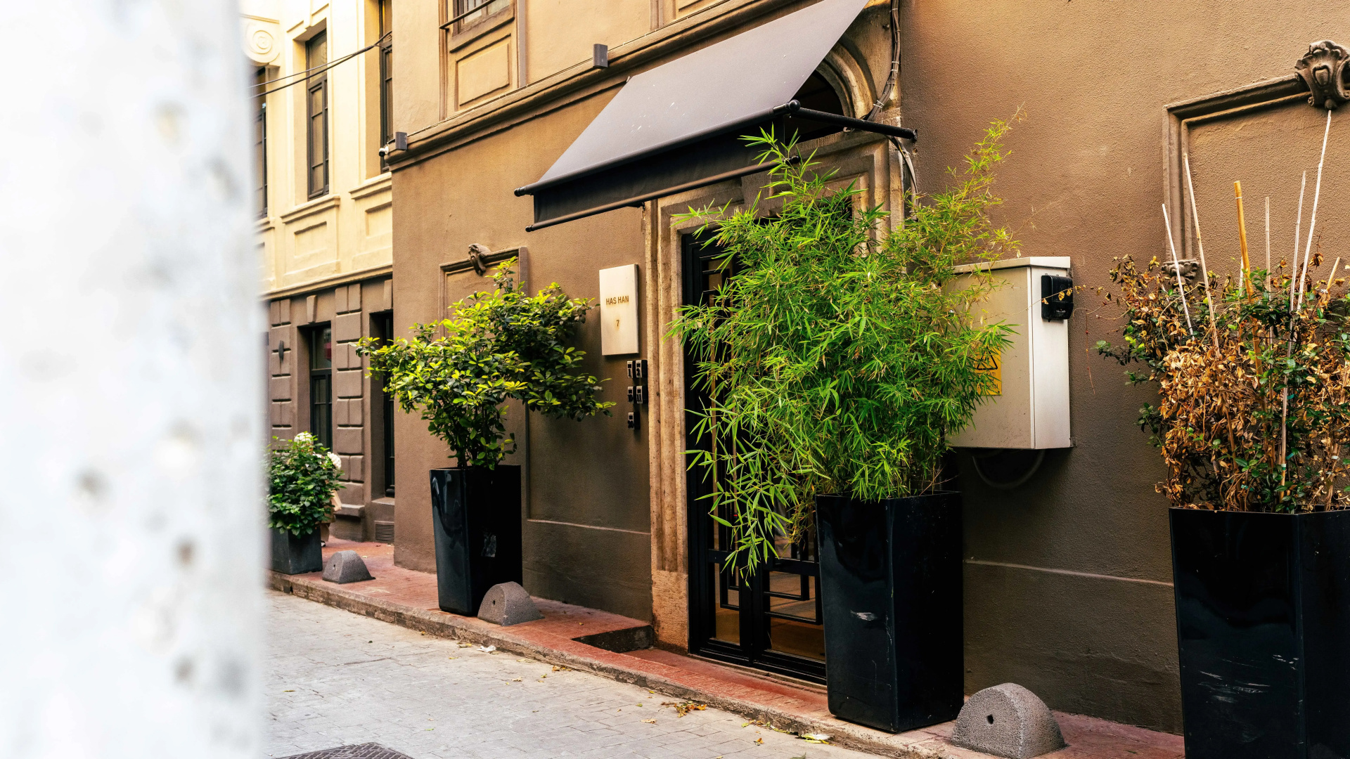 Foto - DeCamondo Residence