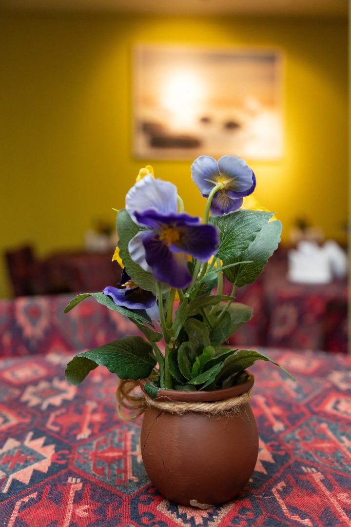 Foto - Flamingo Hotel Baku