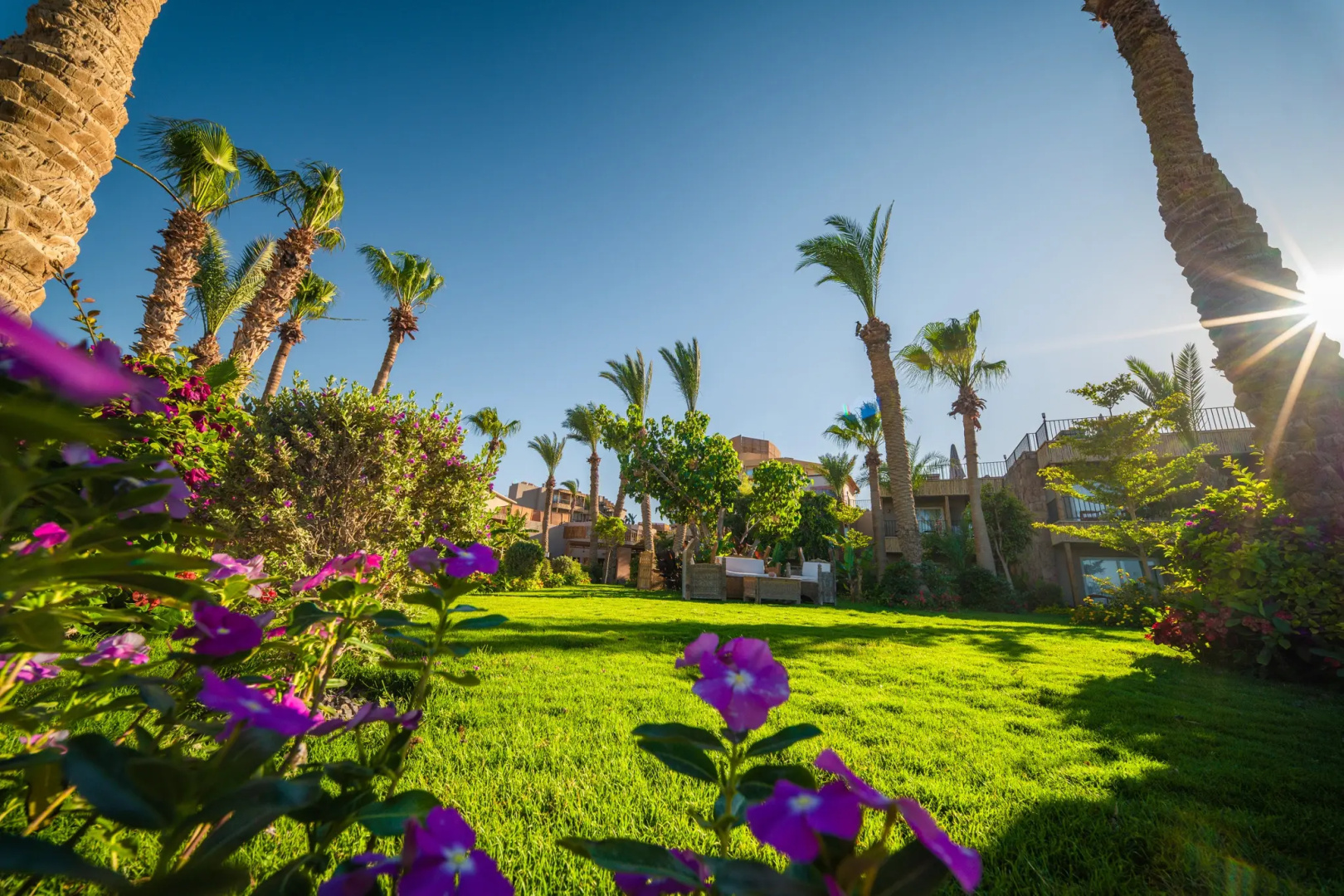 Photo - Jewels Sahara Boutique Resort