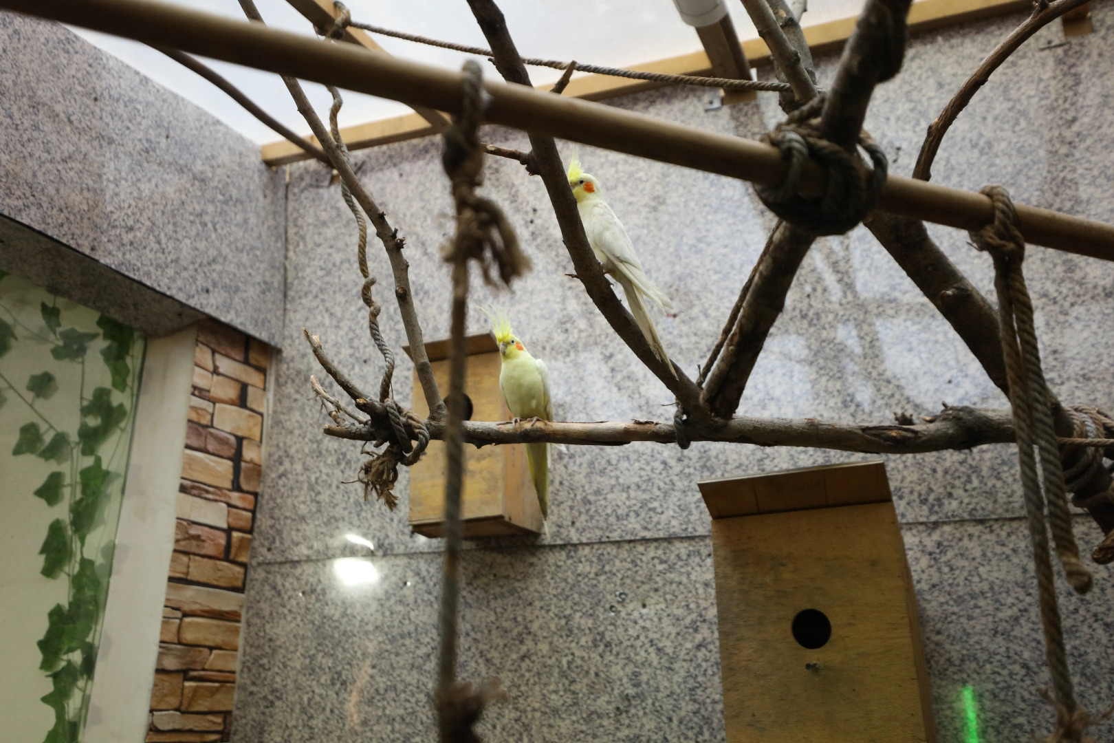 Foto - U Ashota Guest house