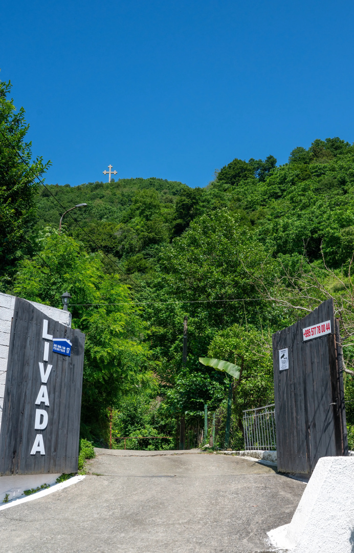 Foto - Livada