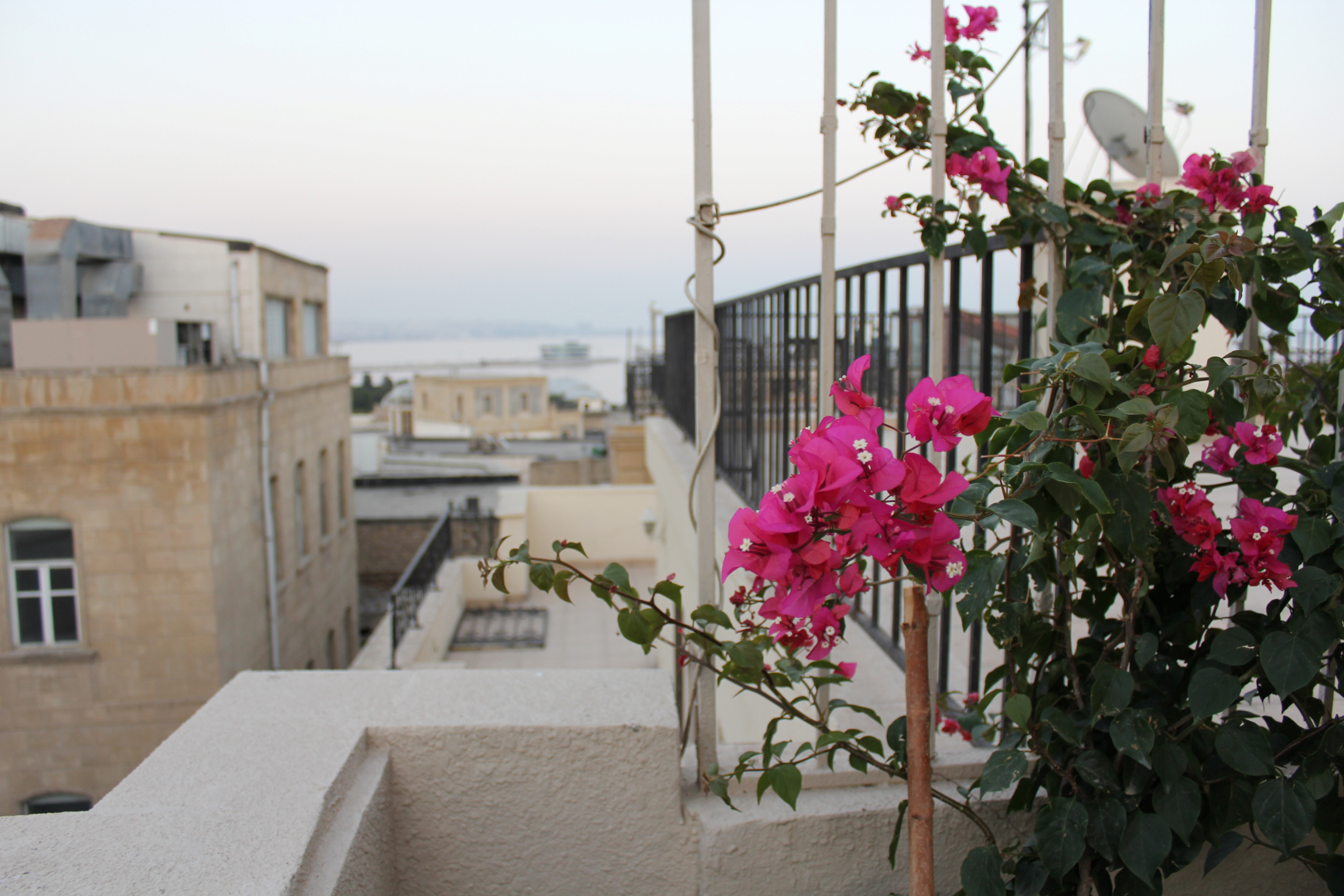 Foto - Old Baku Boutique Hotel