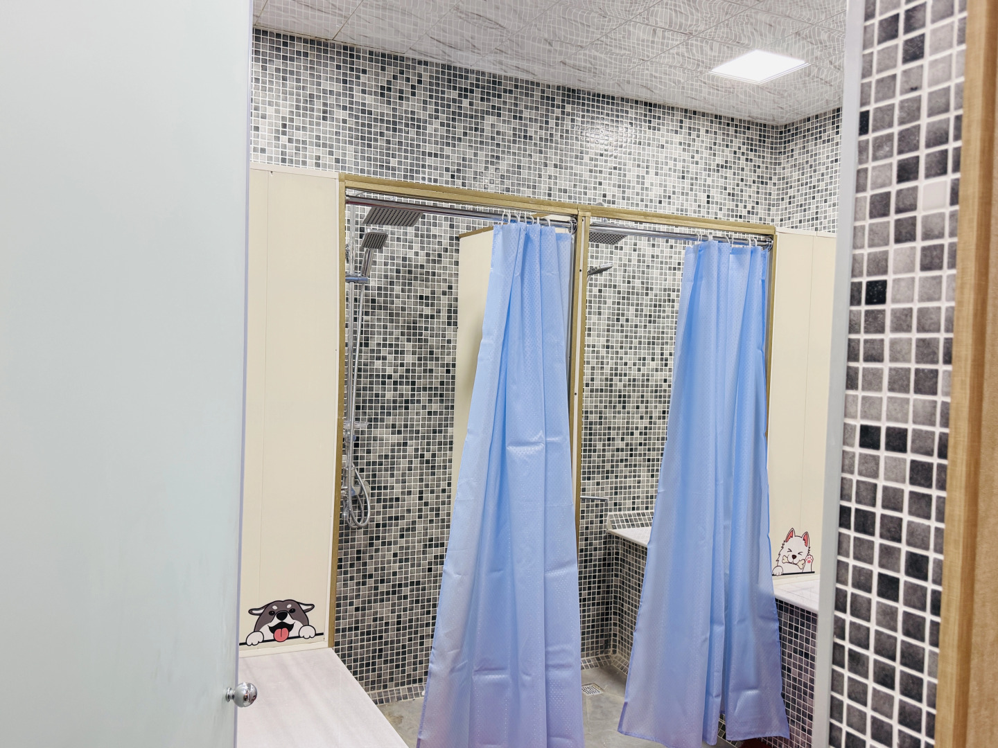 Photo - Alina Home Baku hostel