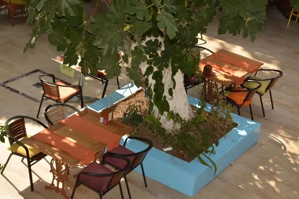 Foto - Kaliptus Hotel