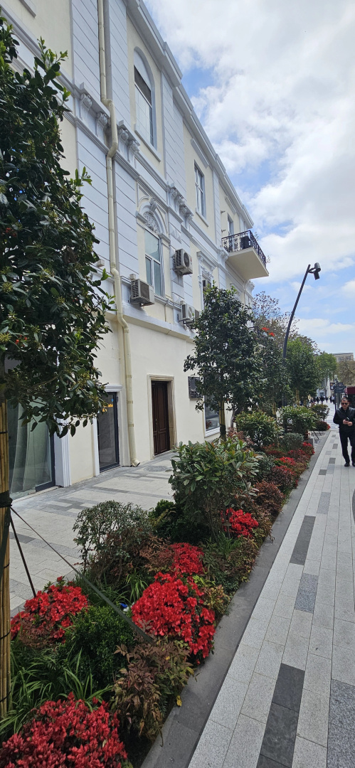Foto - La Casa Nizami Hotel