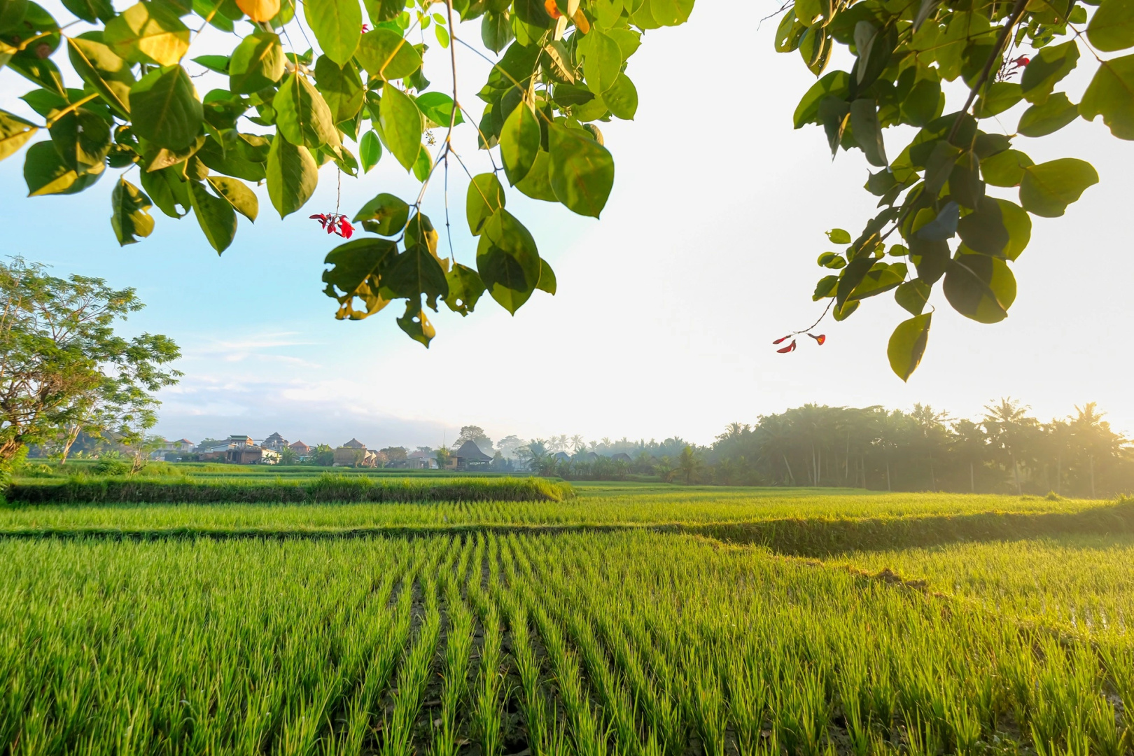 Foto - Ubud Jungle Stay - Mahari by WAHM Hotel