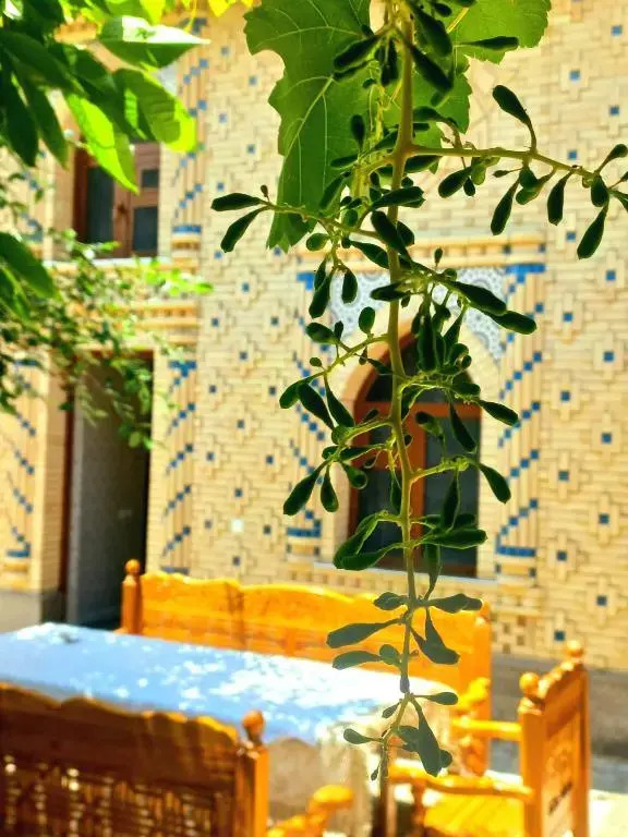 Foto - Colibri Traditional Guest house