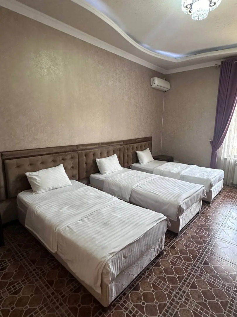 Photo - Golden Camel Registan