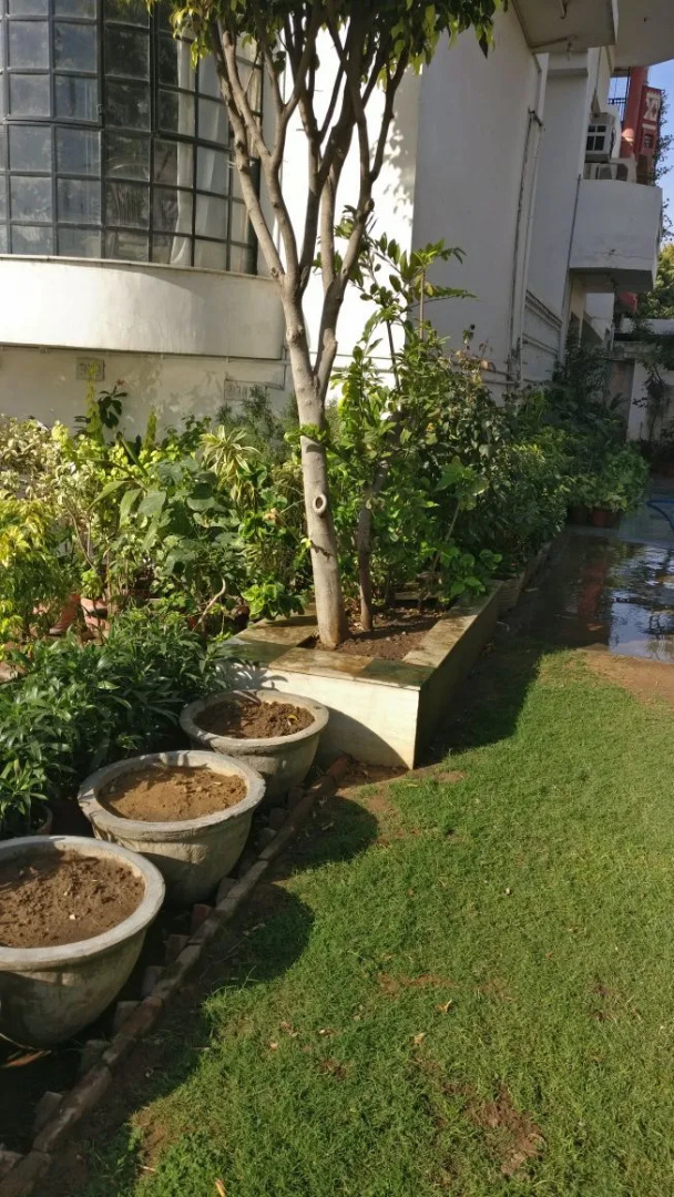 Photo - Abode Homestay