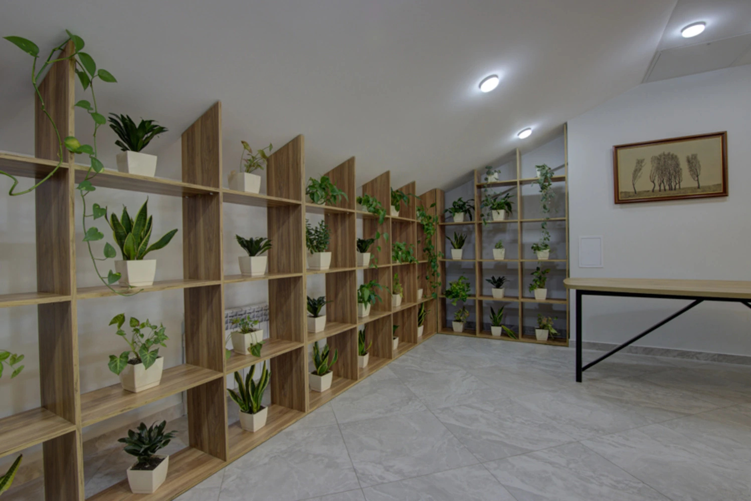 Foto - Aisha Hotel