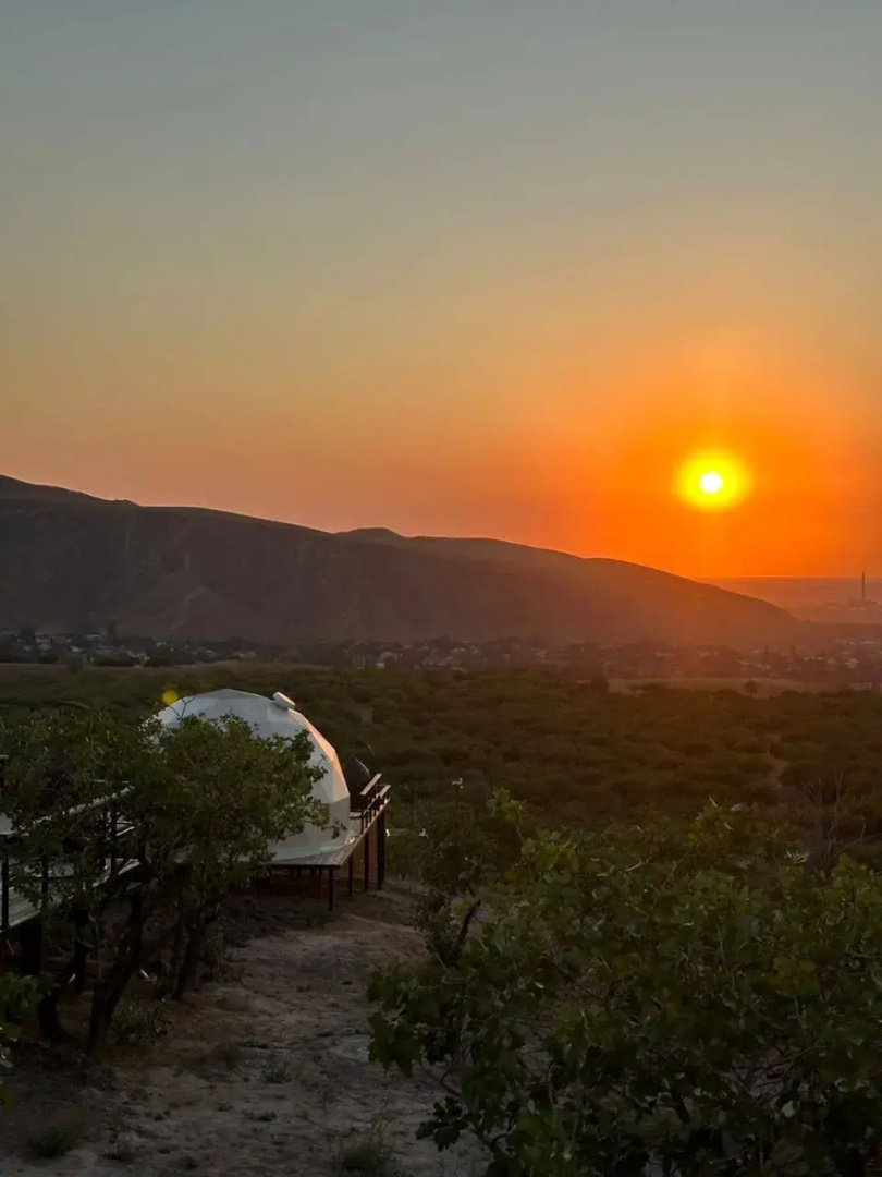 Foto - EcoHouse Glamping by ART HOTEL