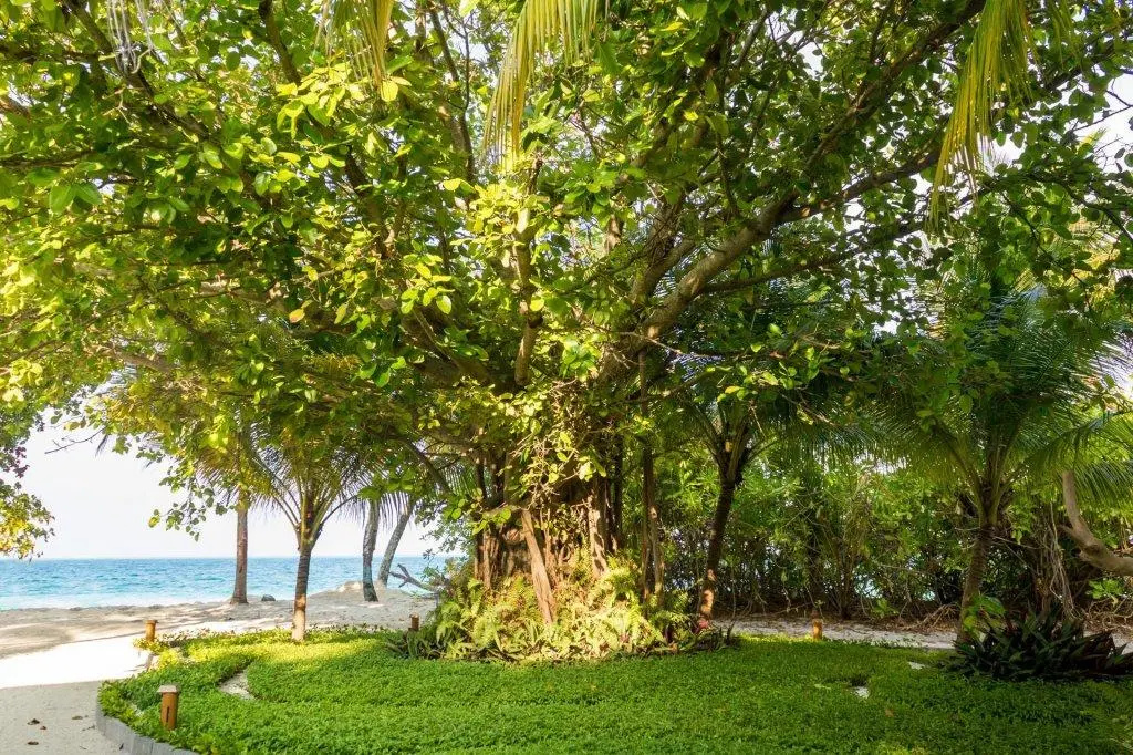 Foto - Fiyavalhu Resort Maldives