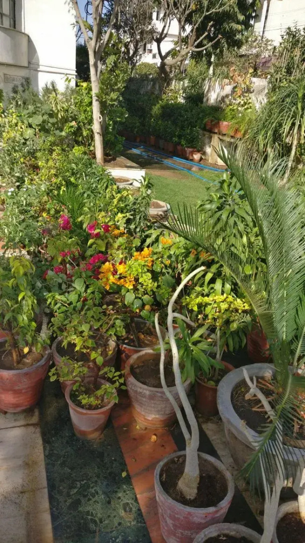 Photo - Abode Homestay