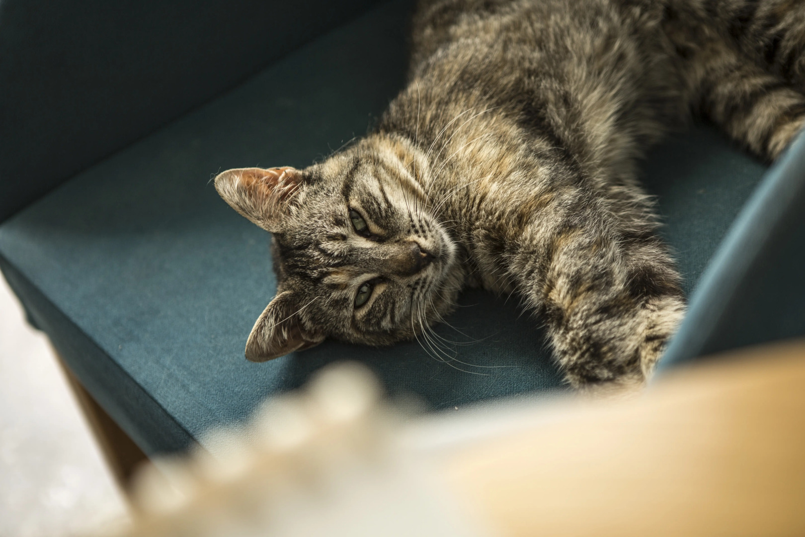 Foto - Castell Hotel