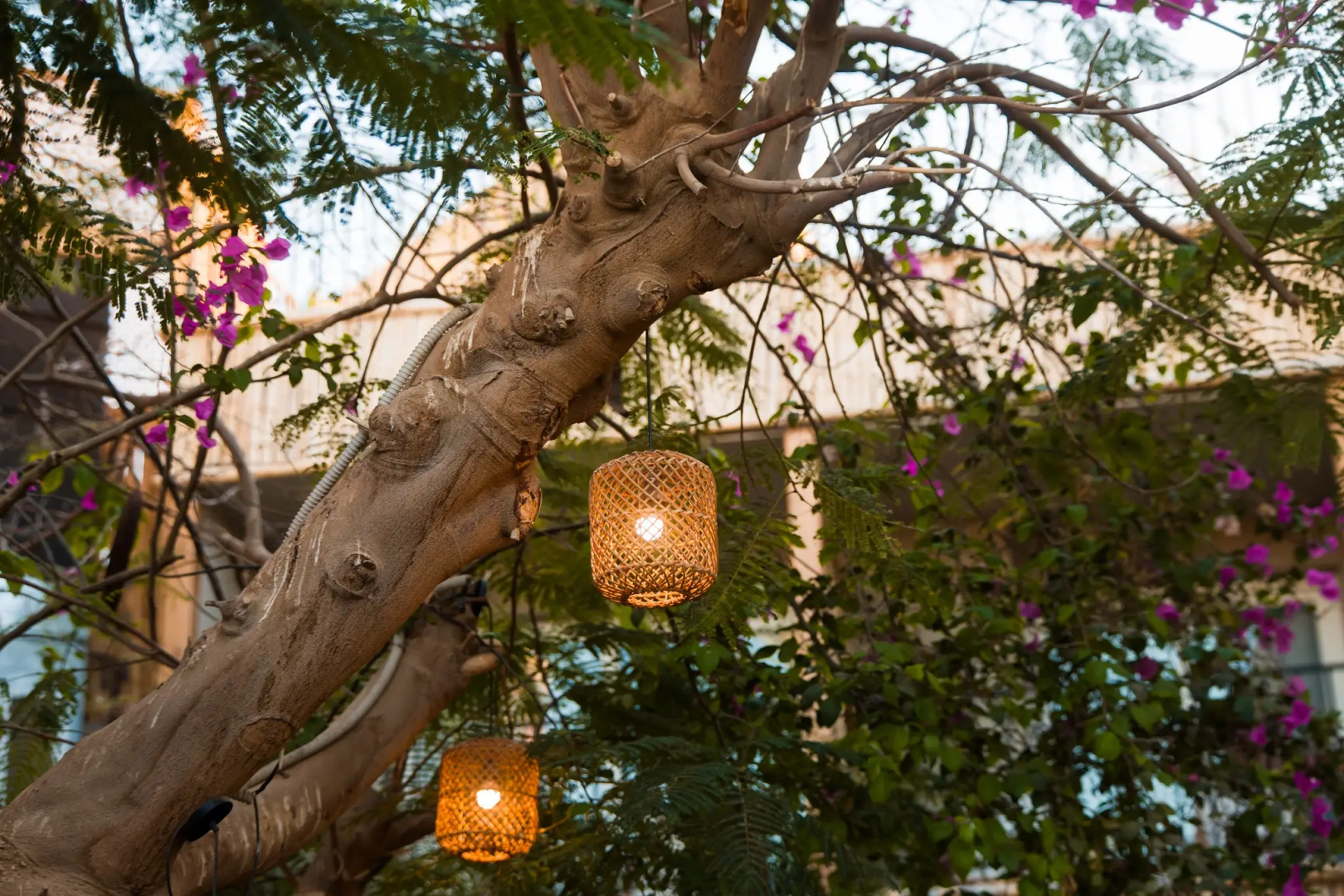 Photo - Jewels Sahara Boutique Resort