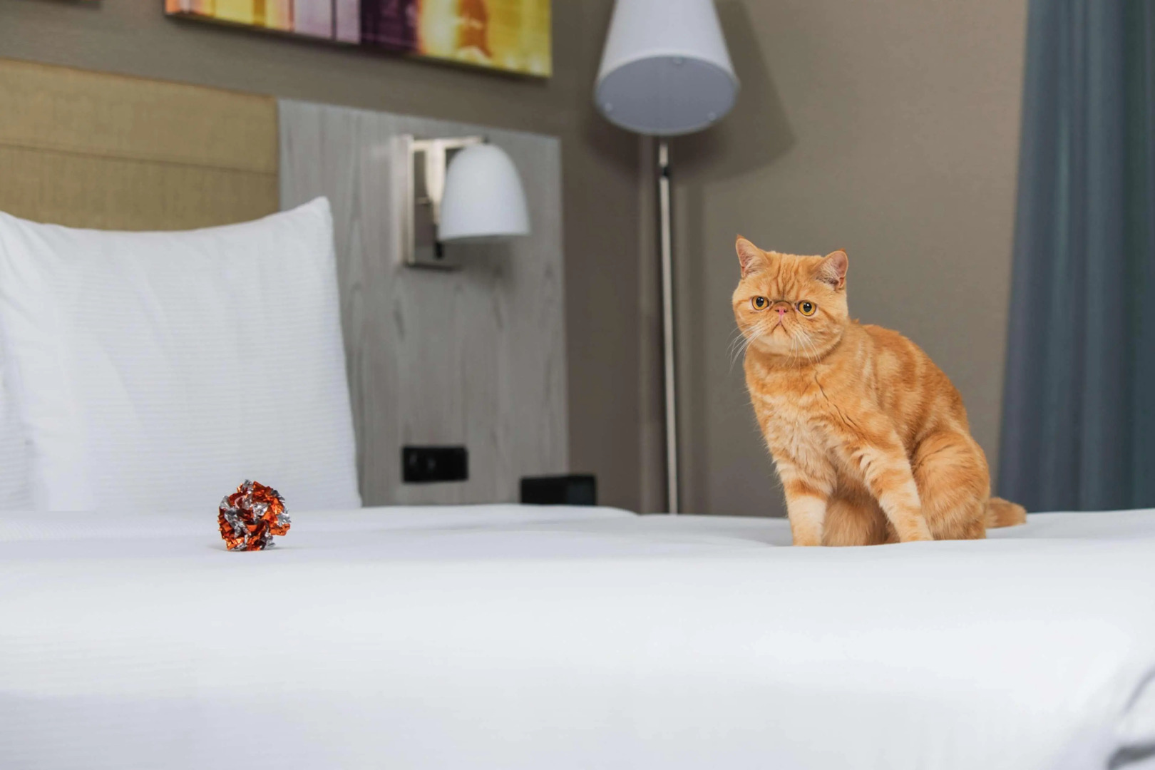 Foto - Hilton New York Times Square