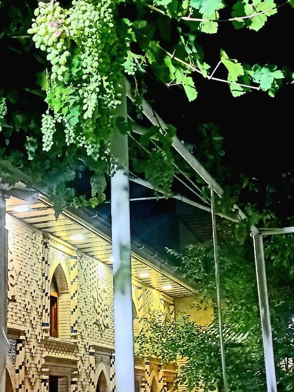 Foto - Colibri Traditional Guest house