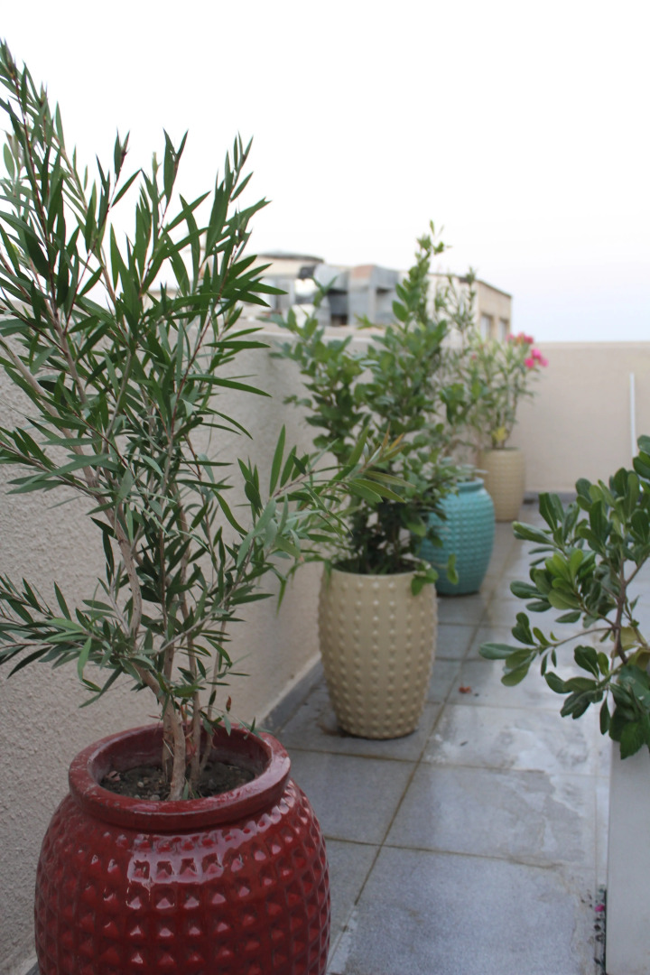 Foto - Old Baku Boutique Hotel