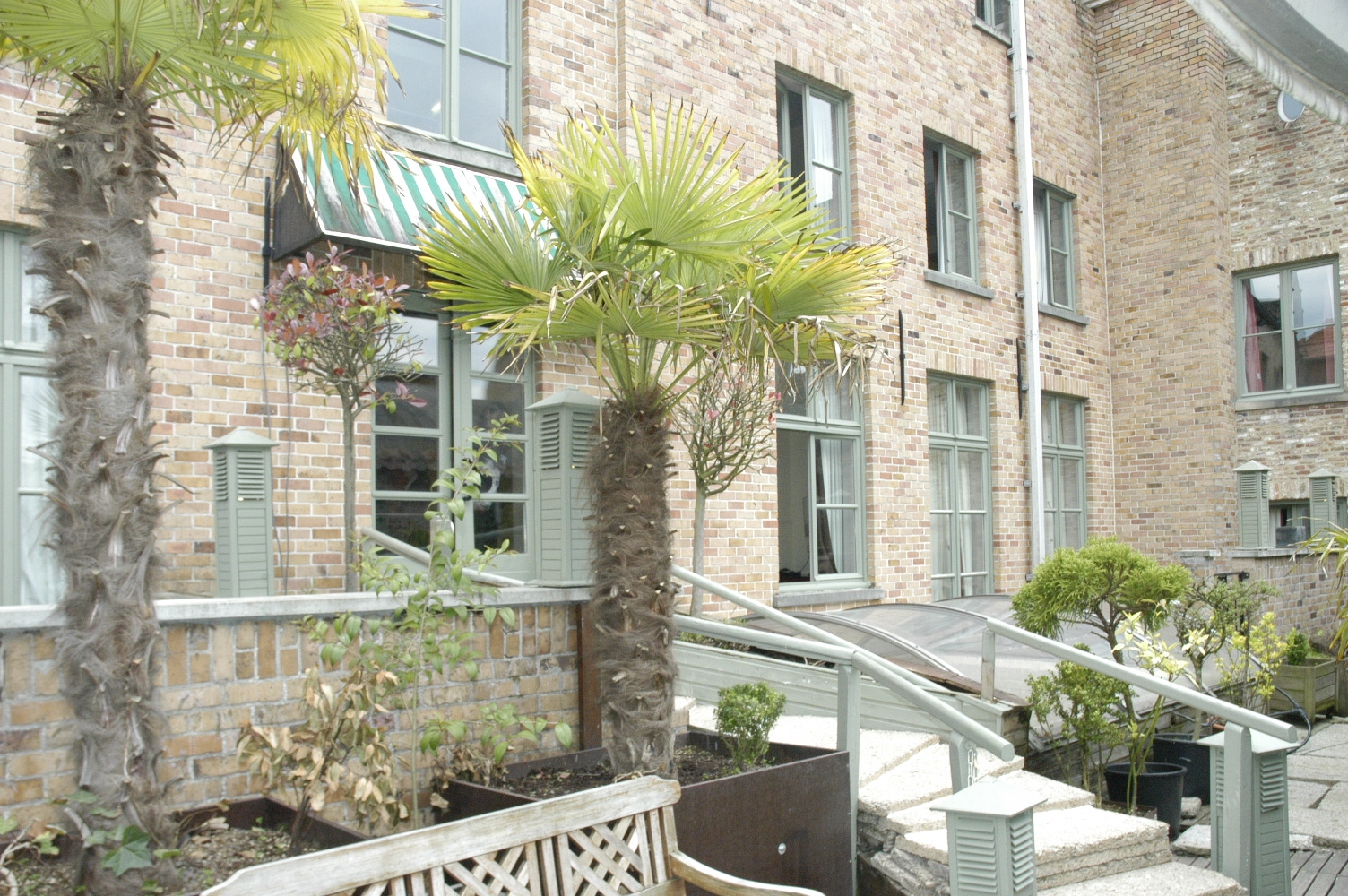 Foto - Hotel Koffieboontje