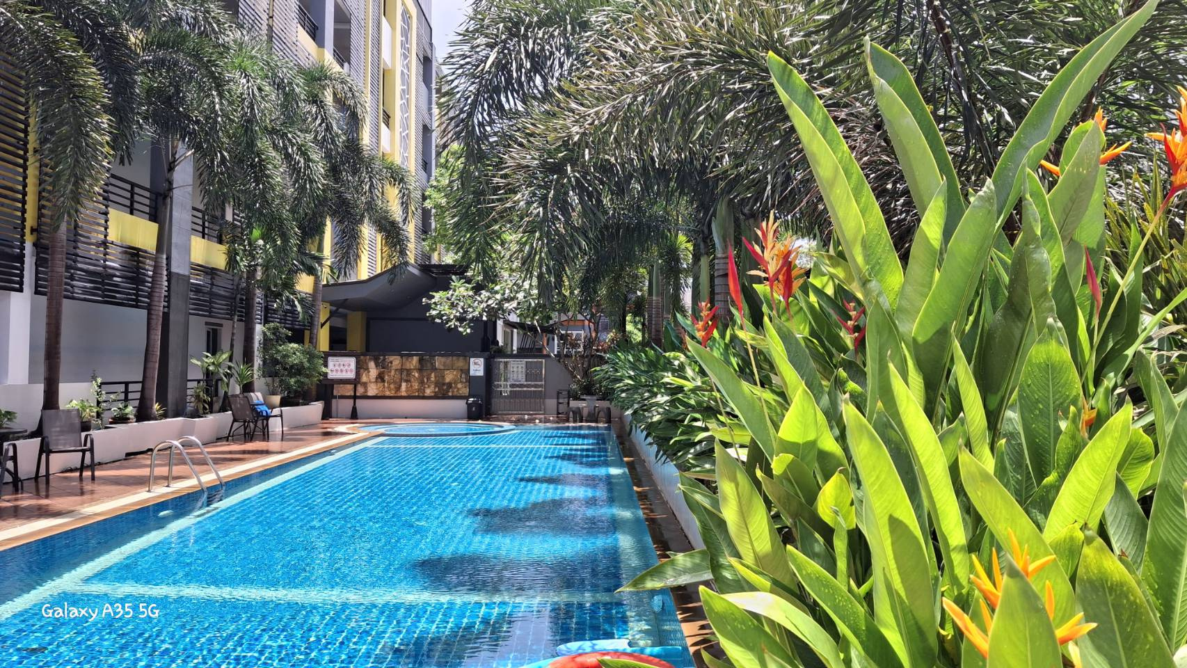 Foto - SB Living Place Hotel Phuket Town