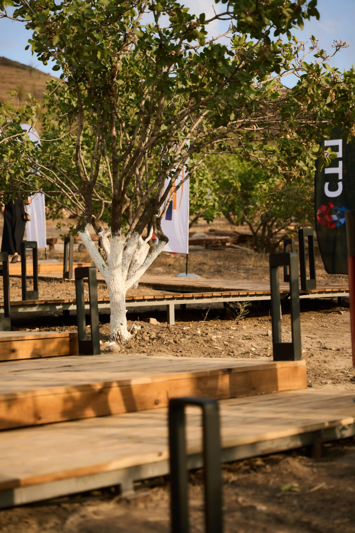 Foto - EcoHouse Glamping by ART HOTEL