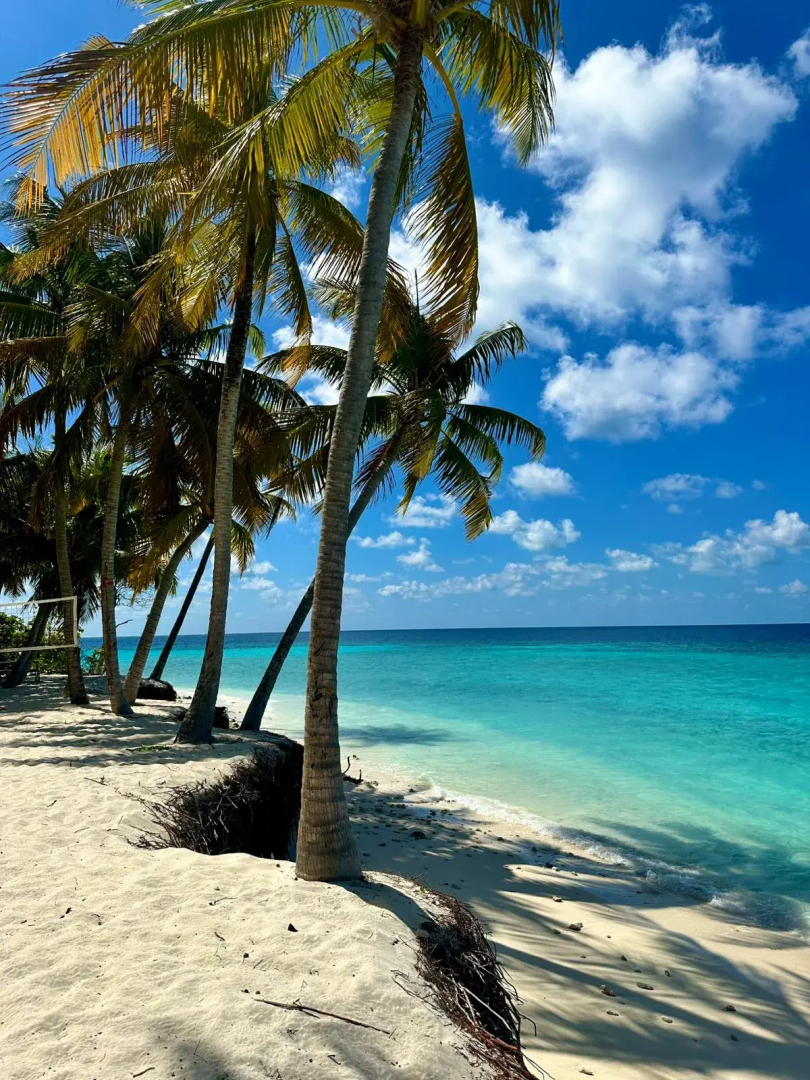 Photo - Oceana Inn Maldives -Free airport assistance at both international and domestic airports